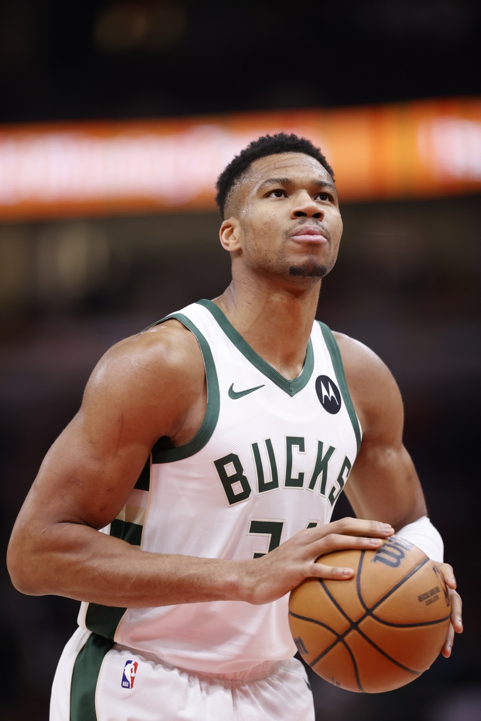 如今敢于冒 如今敢于冒